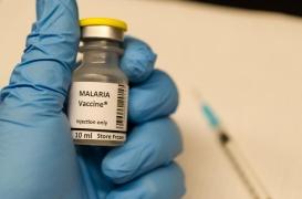 Paludisme : le Cameroun lance la première campagne de vaccination systématique au monde