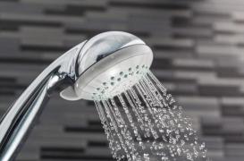 Votre pommeau de douche peut vous transmettre une maladie mortelle
