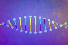 Premier séquençage complet d’un génome humain : à quoi cela peut servir ?