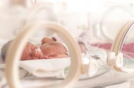 Des médecins suggèrent de traiter le foetus 