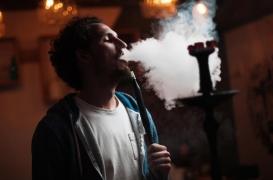 Chichas : des experts américains tirent la sonnette d'alarme