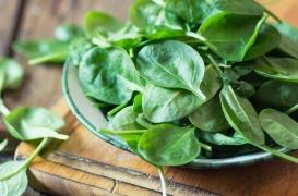 Pour devenir forts comme Popeye, mangez des légumes à feuilles vertes !