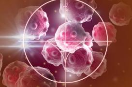 Un vaccin prometteur contre le cancer bientôt testé sur l’Homme