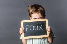 Poux : des produits souvent chers et inefficaces