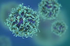 L'épidémie de grippe a tué 13.000 personnes en France cet hiver