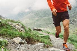 Cœur : faut-il faire un peu de sport quotidiennement ou intensément le weekend ?