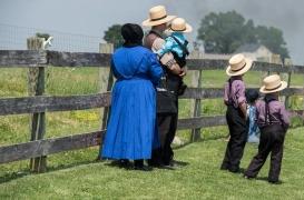  Pourquoi les Amish sont mieux protégés face au risque de maladie cardiaque ?