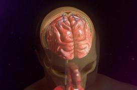 Méningite : pourquoi son diagnostic est-il souvent retardé ?