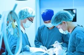 Greffe de vessie humaine : une première mondiale