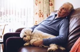 Démence : un rythme circadien perturbé augmente le risque