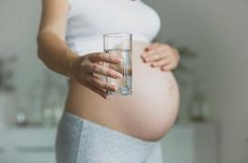 Canicule : attention aux infections urinaires pendant la grossesse