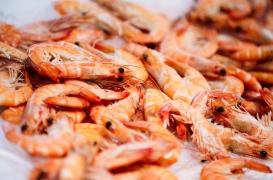 Les crevettes sont-elles un danger pour l’Homme ?