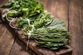 Le thym et l’origan partagent un composé qui serait actif contre le cancer 