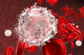 Une nouvelle approche pour le traitement de la leucémie