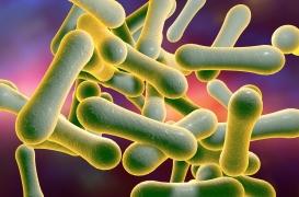 Diphtérie : quelle est cette maladie qui réapparaît en Europe ?