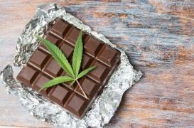 Bonbons au cannabis : les composés du chocolat pourraient brouiller les tests 