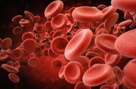 Coronavirus : un test sanguin permet de prédire les risques de décès