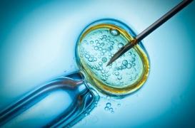 Fertilité : ce qui pourrait changer pour le don de gamètes 