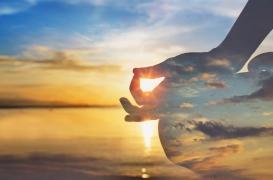 Matthieu Ricard: Méditer se sentir  bien