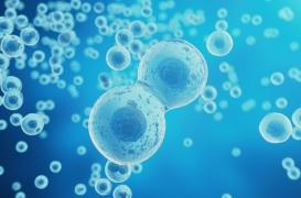 Cette découverte pourrait changer notre façon de comprendre le vieillissement