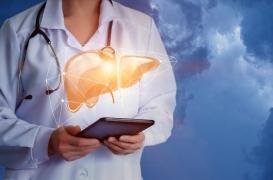 Cancer du foie : l'IA dispense d’examens compliqués pour prédire vos risques 
