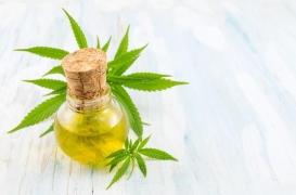 Cannabis : le THC légalisé en France par erreur en 2007