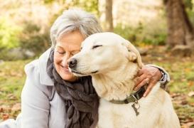 Chiens en tête, les animaux, meilleurs amis de l’homme