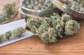 Cannabis : de plus en plus de jeunes enfants intoxiqués par accident