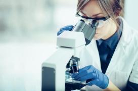 Maladies cardiaques : un vaisseau sanguin sur puce pour tester les médicaments