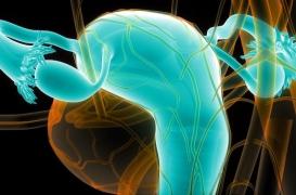 Fertilité : des ovaires artificiels pour aider les femmes à avoir des enfants après un cancer