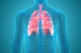 Greffe : un médecin français greffe avec succès des trachées artificielles sur 12 patients 