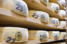 Salmonelle : des fromages contaminés de Morbier et Mont-d'Or ont tué 10 personnes entre 2015 et 2016