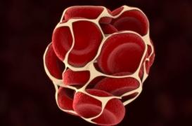 Sa carte vitale n’est pas à jour : le patient meurt d’une embolie pulmonaire