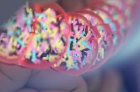La composition du microbiote serait héréditaire