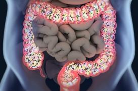 Flore intestinale : 7 aliments pour la préserver 