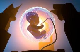  L’exposition à la pollution de l'air pendant la grossesse, un risque pour le foetus