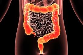 Daniel Lévi face au cancer : sa femme donne de ses nouvelles