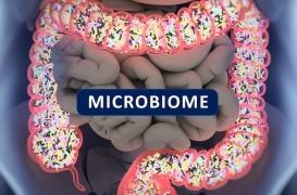 Maladies auto-immunes : les racines du mal sont à l'intérieur 