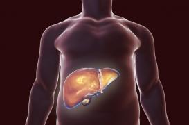 Hépatite C chronique : les « antiviraux à action directe » recommandés pour tous les malades