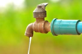 Métaux lourds : trop de plomb dans le sang augmente le cholestérol