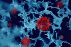 Une bactérie multirésistante se propage dans les hôpitaux du monde entier