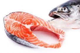 Un taux normal de vitamine D réduit la mortalité précoce par maladie cardiovasculaire