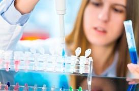 Cancer : comment l’acide lactique favorise l'échec des immunothérapies