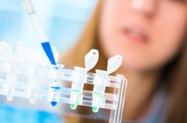 Myélome : l’espoir de l’immunothérapie combinée en cas de rechute