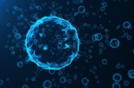 Cancer : une réduction de glucose augmente la puissance des virus oncolytiques