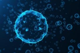 Epidémie de grippe en Chine: La grippe type 