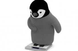 Pesez-vous … Pour la dernière fois avant 4 semaines.