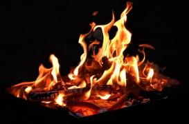 La combustion massive de bois nuit à la santé et à l'environnement, alertent des médecins 