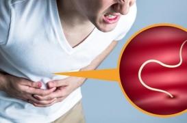 Attention aux infections par un parasite si vous mangez du poisson cru ou juste mariné