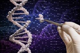 Les secrets de notre santé à la portée de toutes les bourses